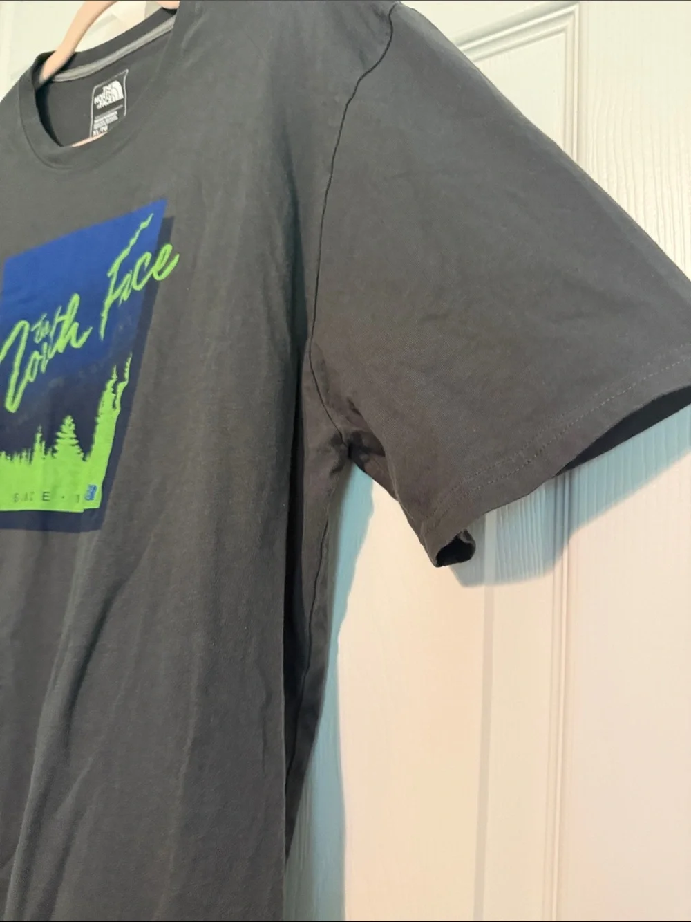 The North Face Charcoal Gray Tee with Blue & Neon Green Graphic